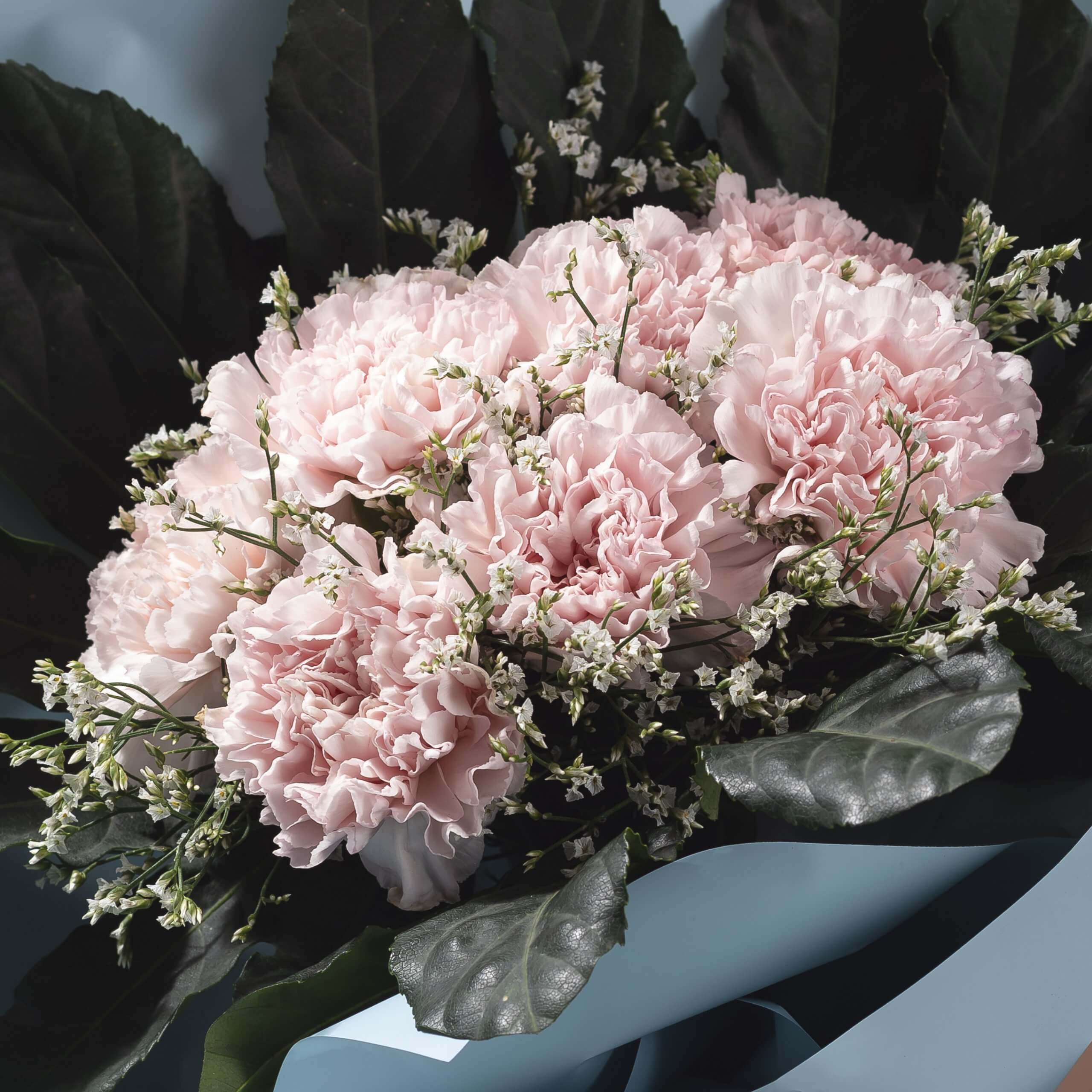 EYFB-MD01-Her-Wish-Upon-the-Stars-3-scaled