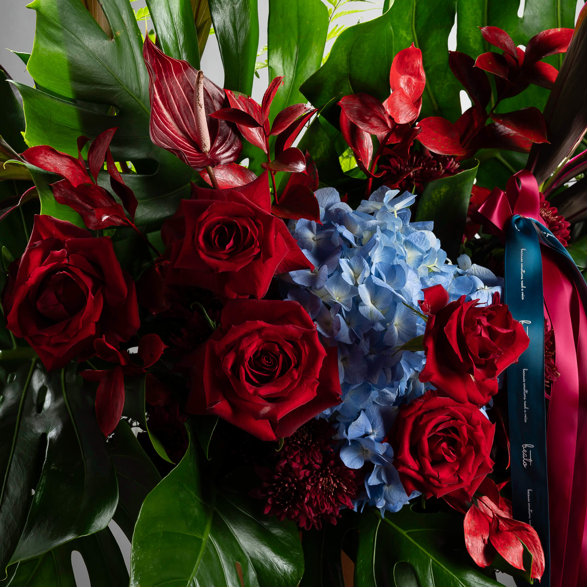 NPL-FTC02- Sweet Triumph(2)