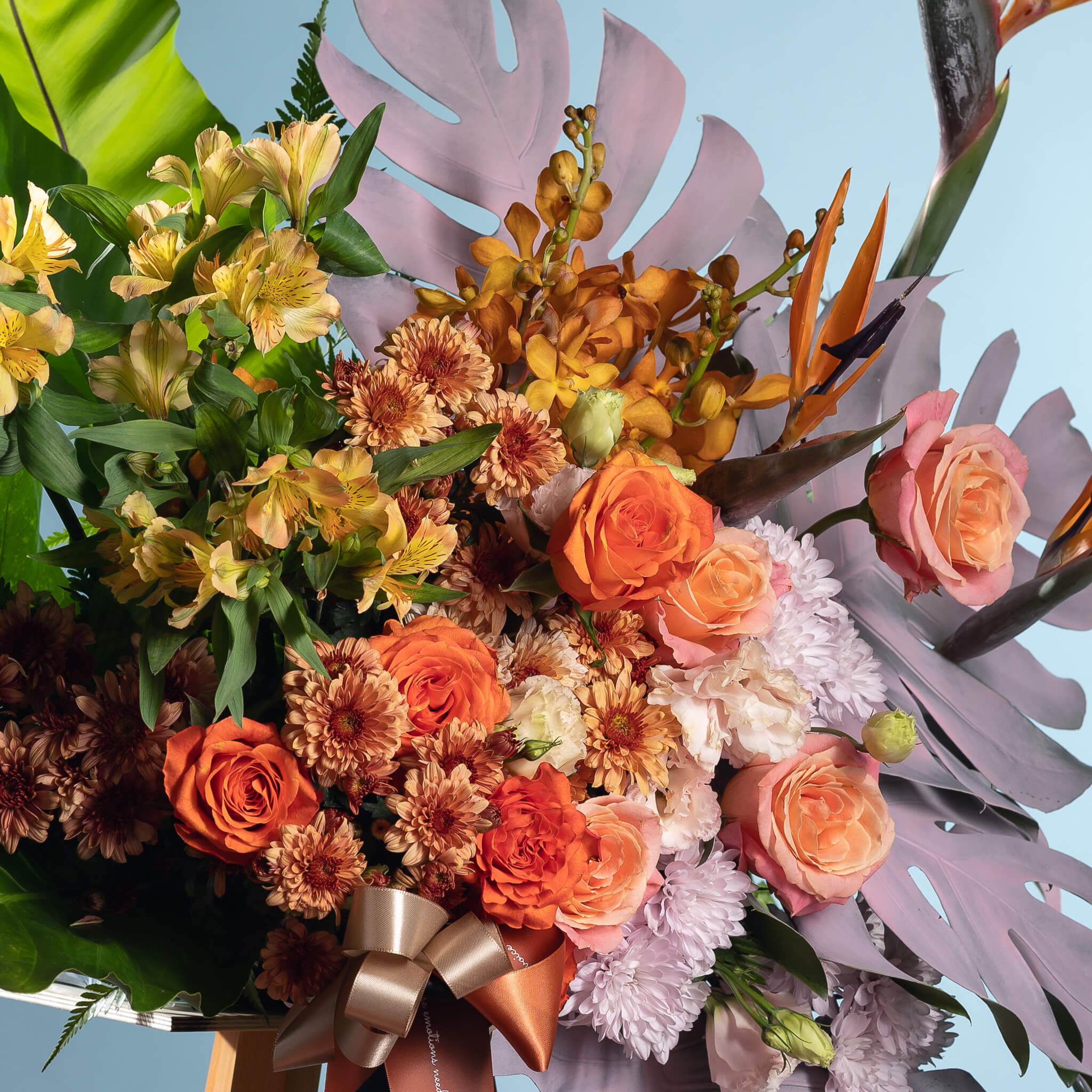 NPL-FTC04-Fly Fortress (2)