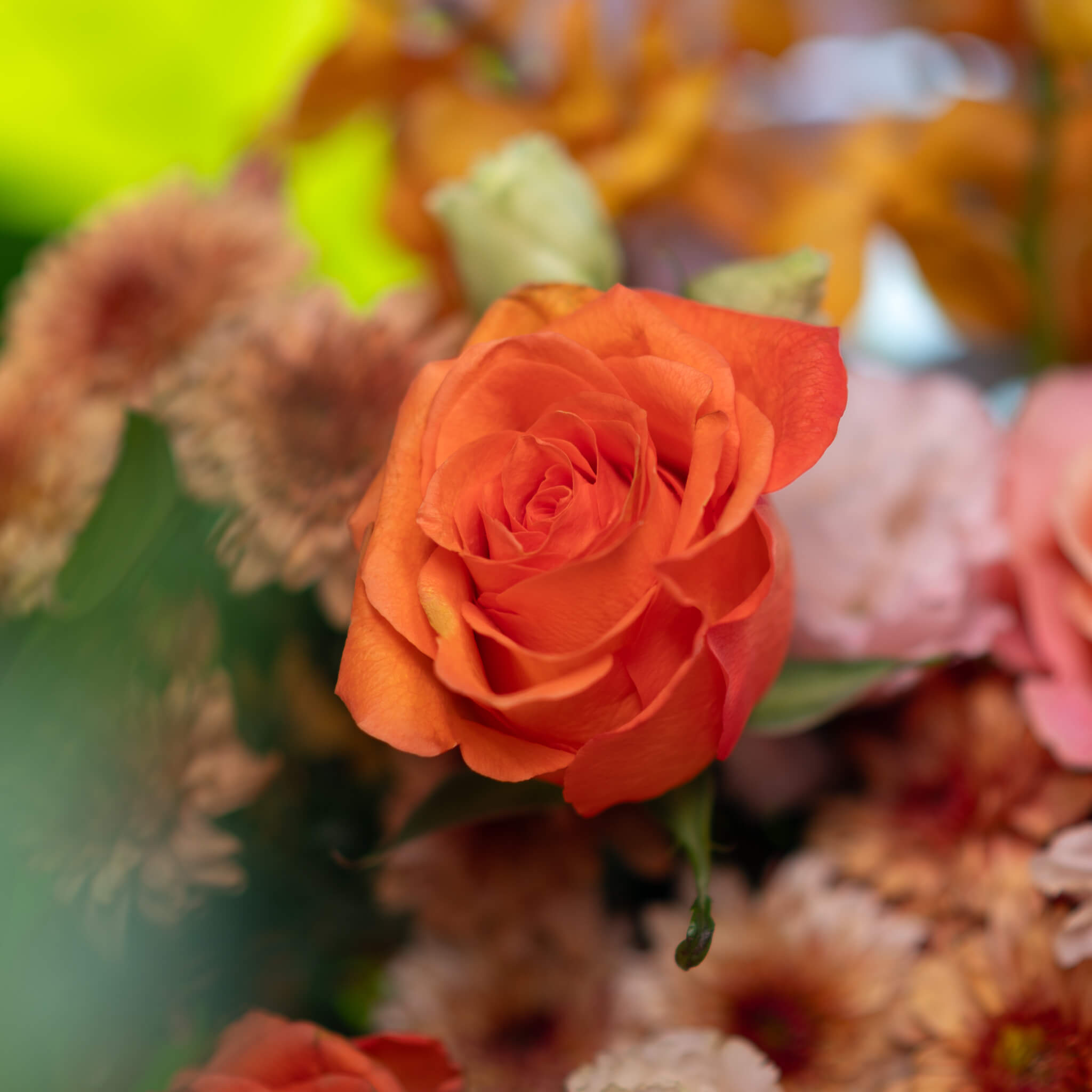 NPL-FTC04-Fly Fortress (3)