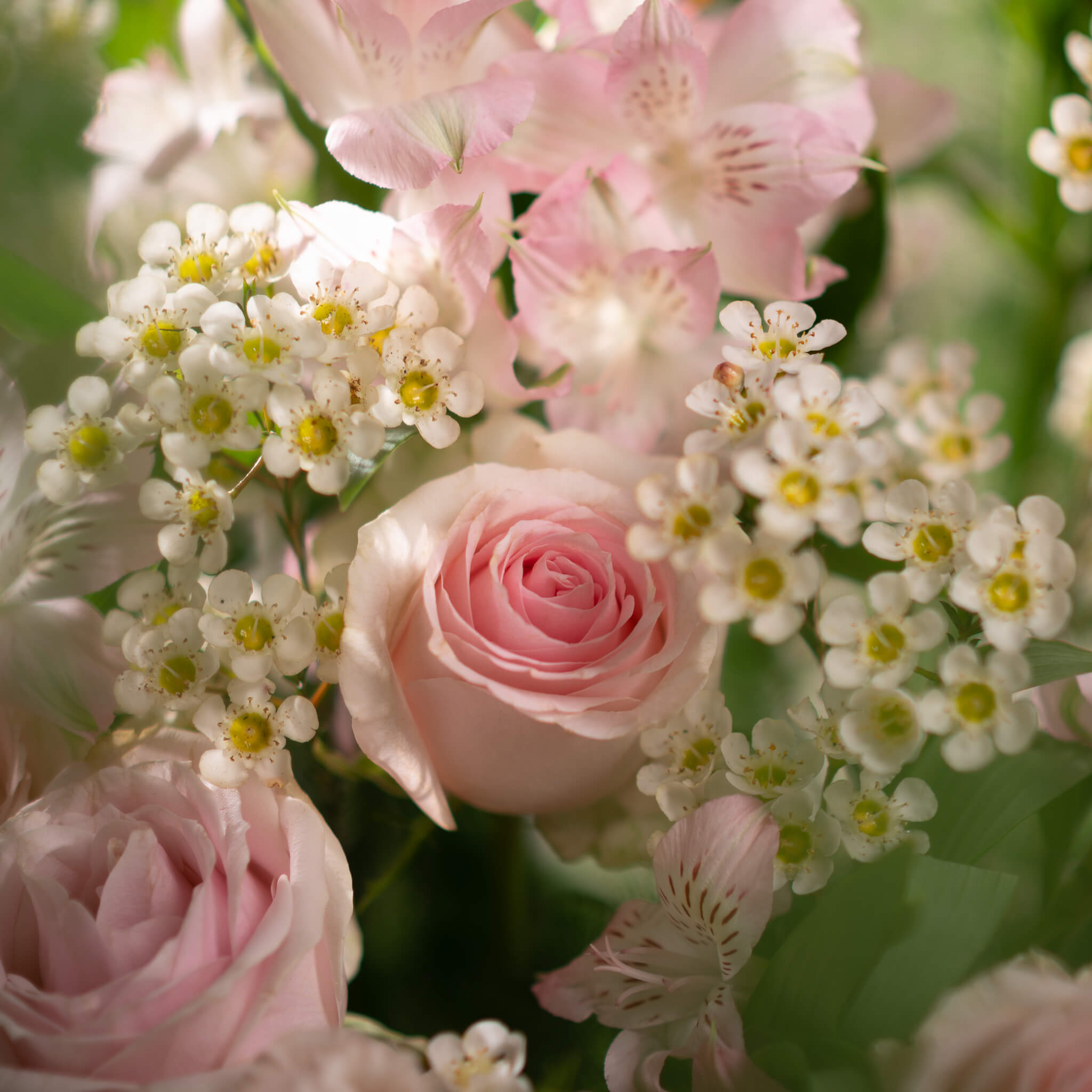 NPL-FTC13-Valiant Hearts (3)