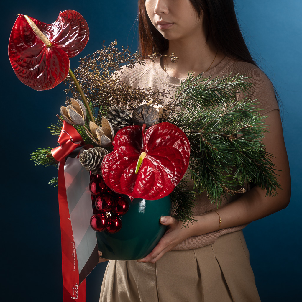 2024-11-01 NPL Xmas 19