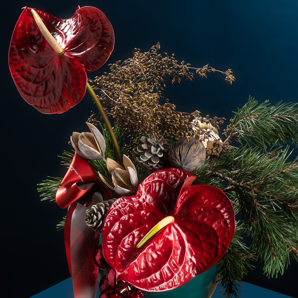 2024-11-01 NPL Xmas 20