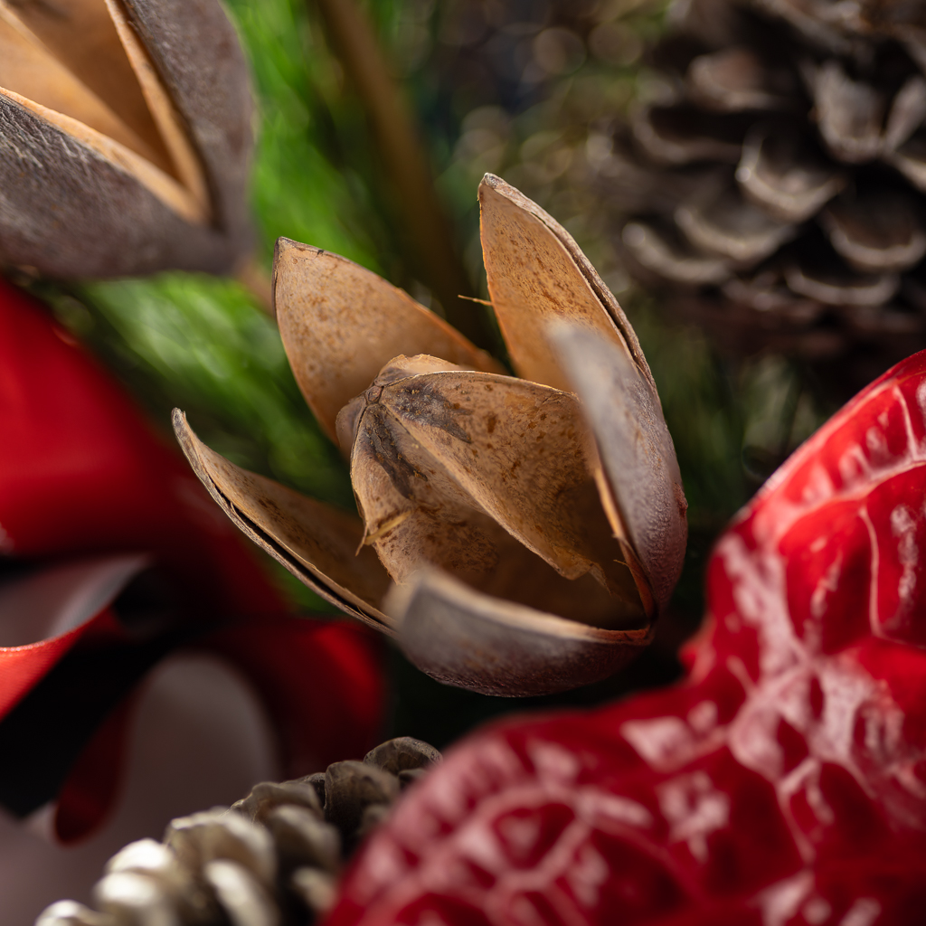 2024-11-01 NPL Xmas 21