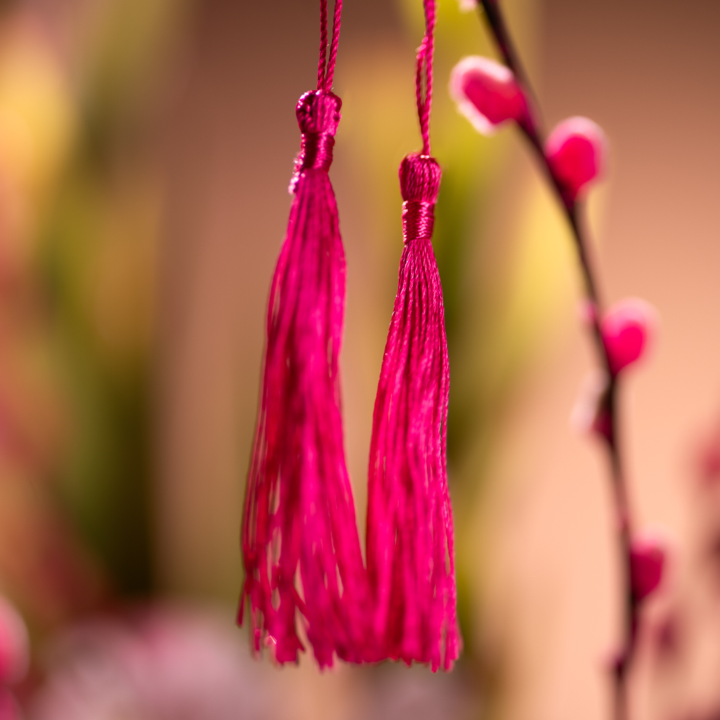 CNY2411 - Trail of the Golden Flame (3)